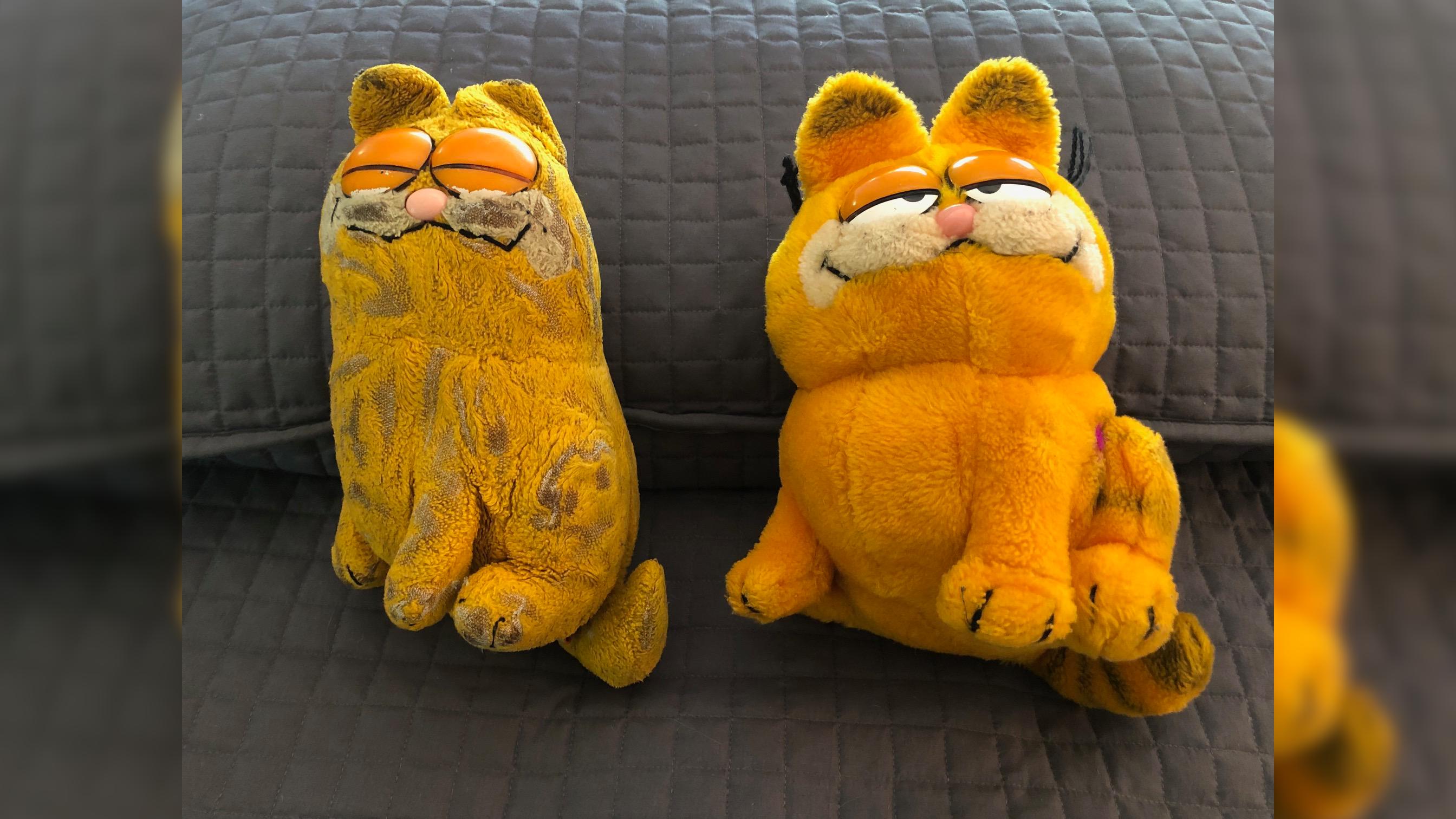 Well Loved Garfield Plush Meme Template
