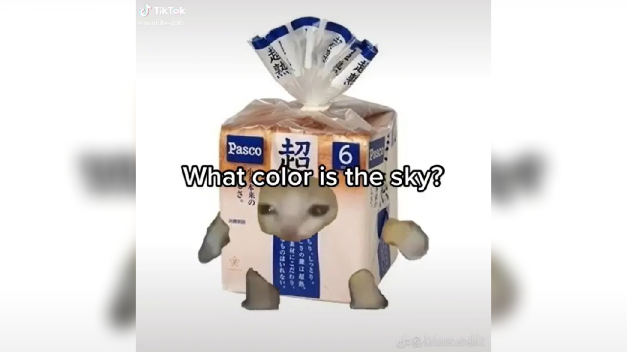 What Color Is The Sky? Ay Mi Amor Cat Meme Meme Template