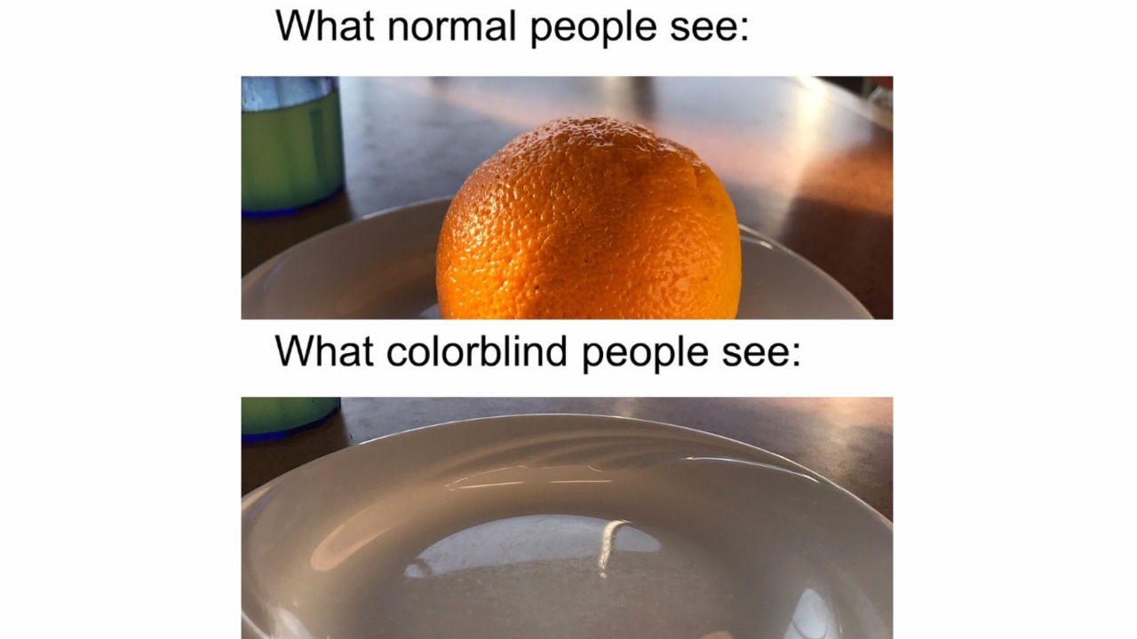 What Colorblind People See Meme Template