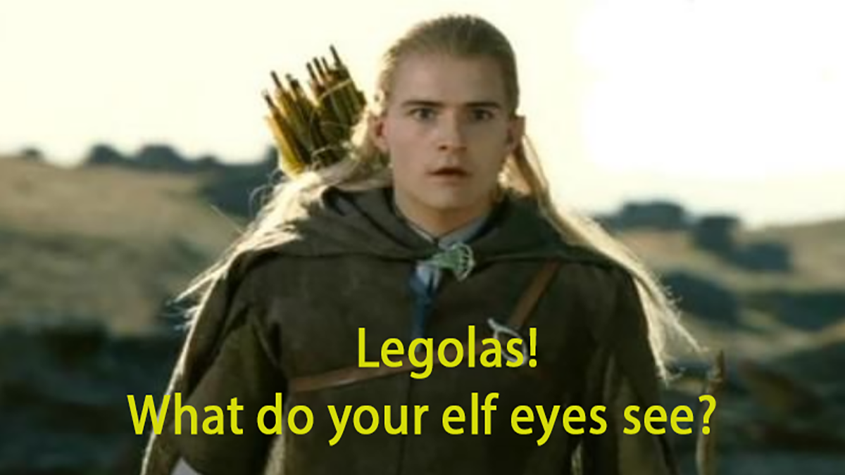 What Do Your Elf Eyes See?