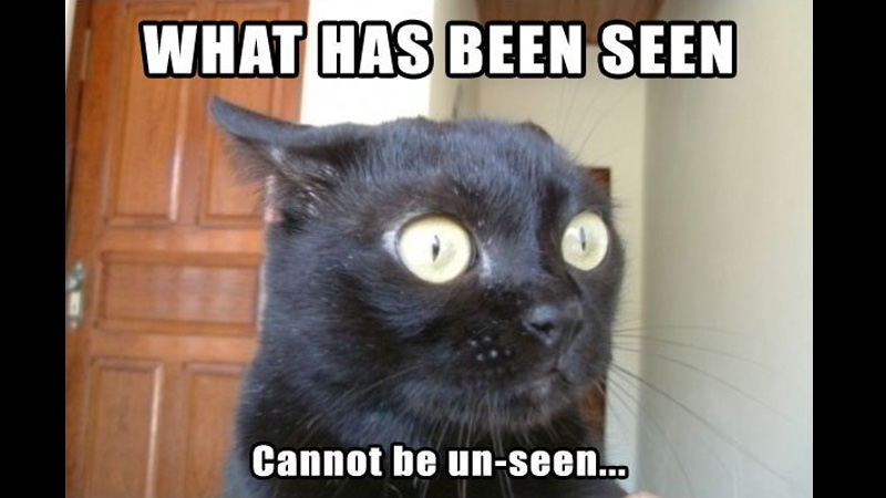 What Has Been Seen Cannot Be Unseen