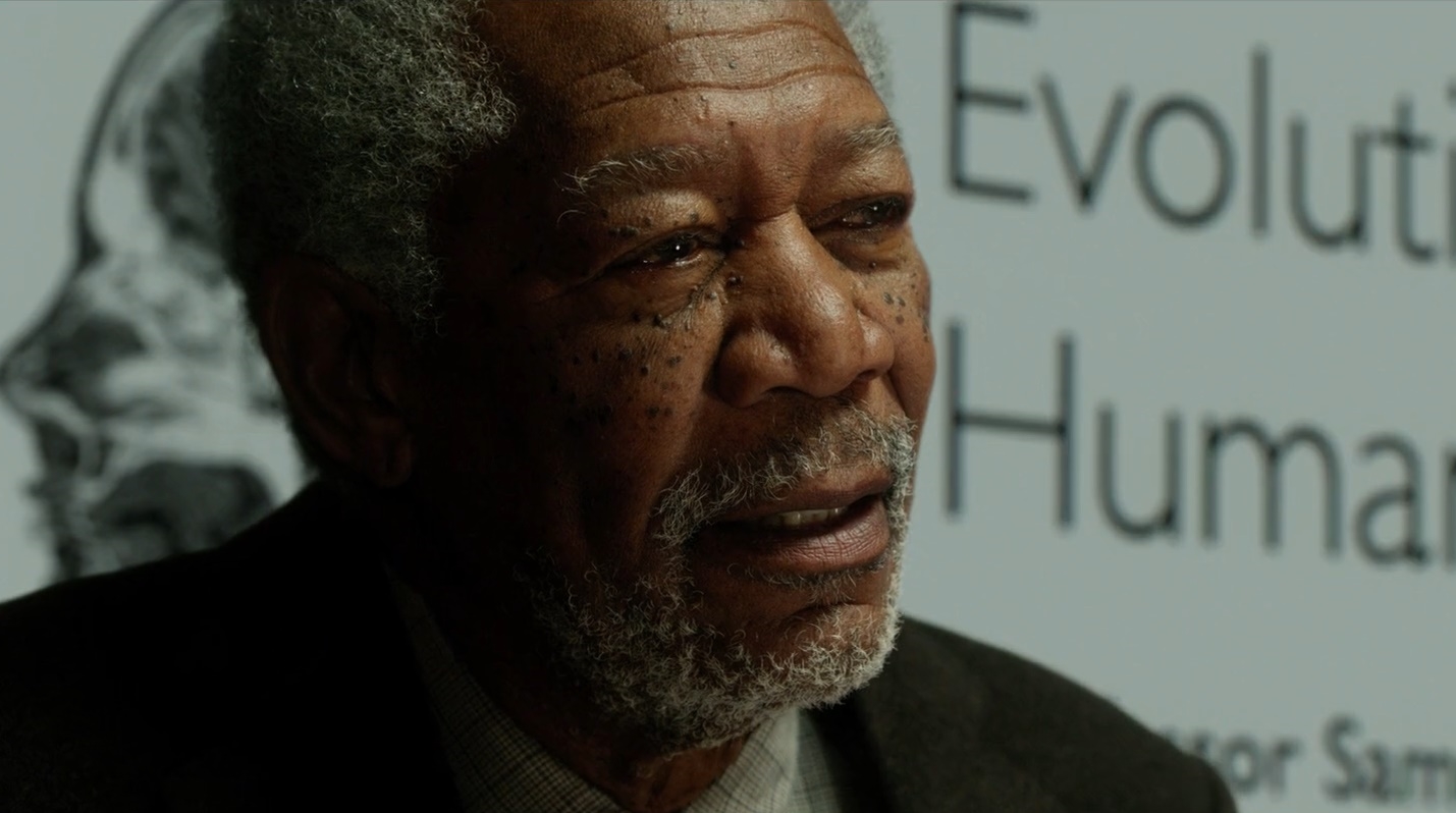 What If We Used 100 Percent of the Brain?