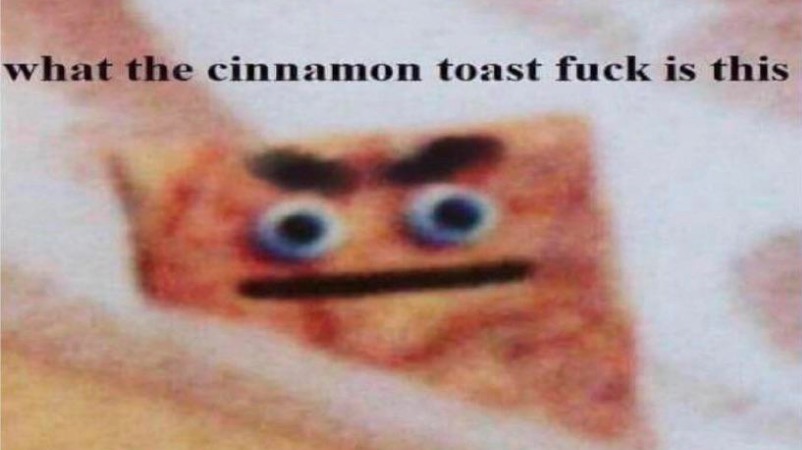 What the Cinnamon Toast Fuck Is This Meme Template