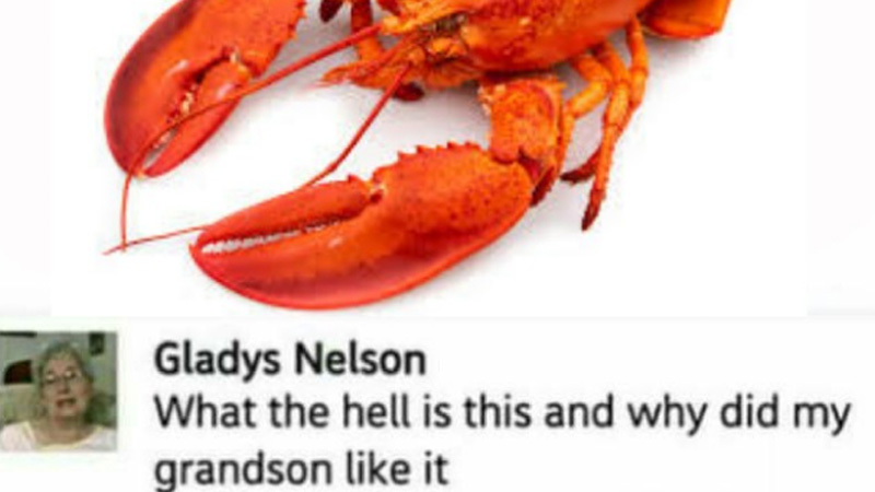 What The Hell Is This and Why Did My Grandson Like It