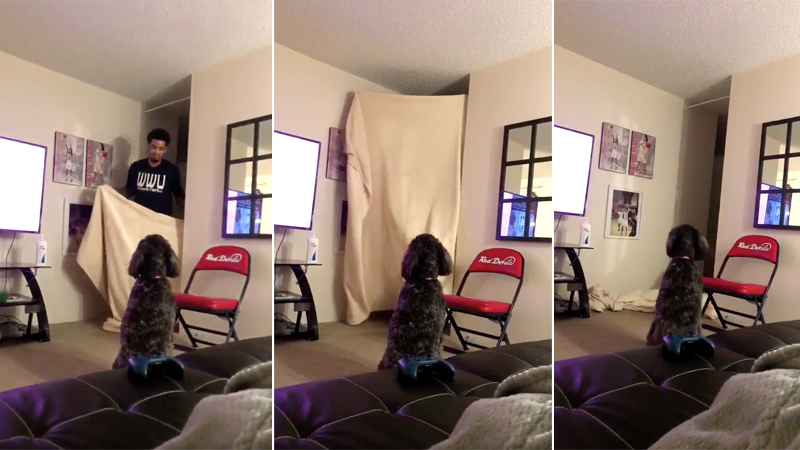 #WhatTheFluffChallenge