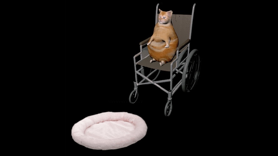 Wheelchair Cat Meme Template