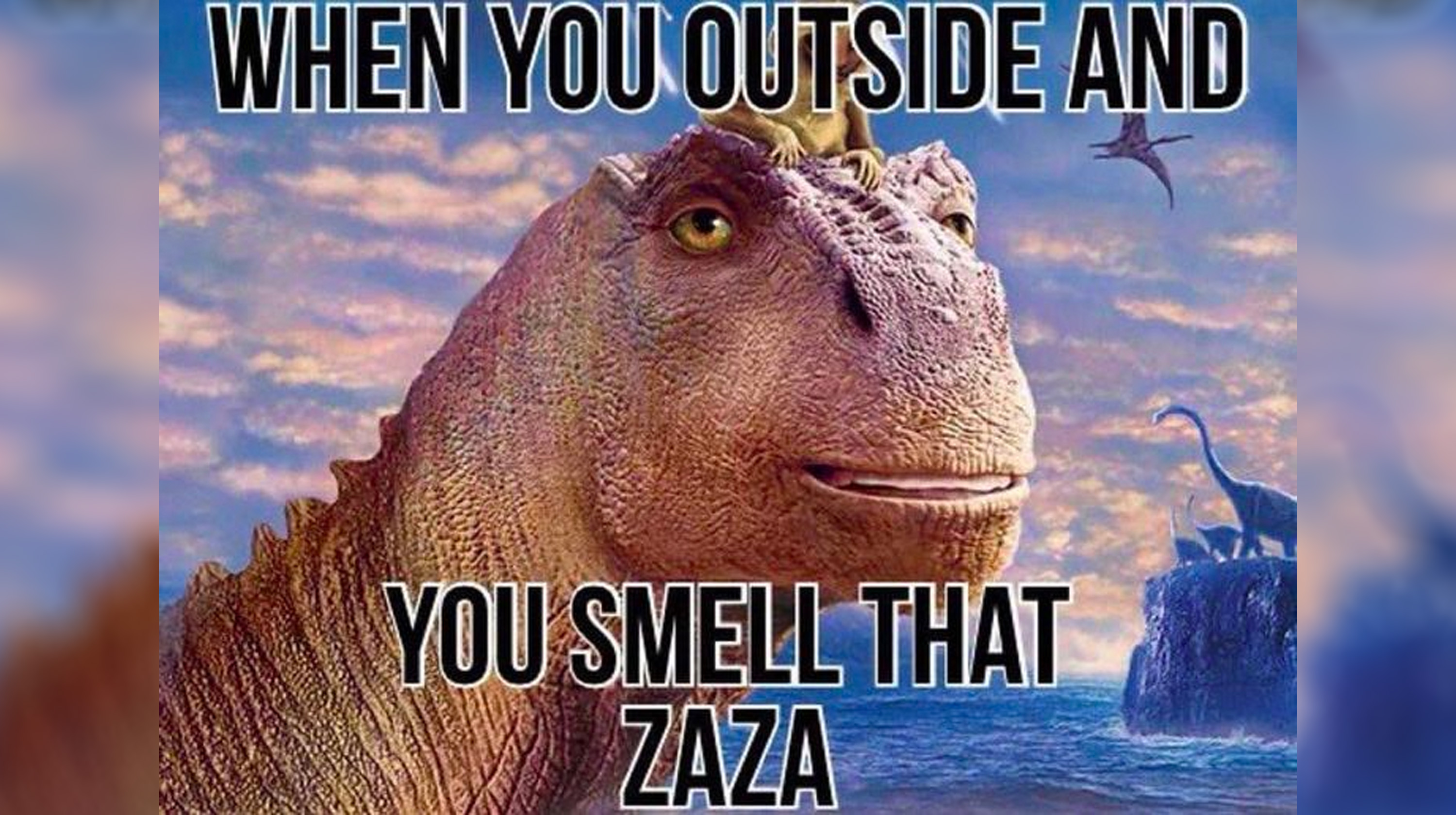 When You Outside And You Smell That Zaza