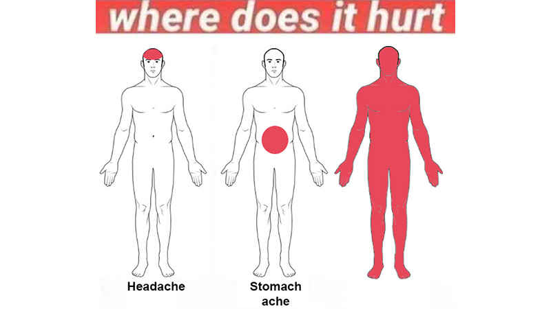 Where Does It Hurt Meme Template