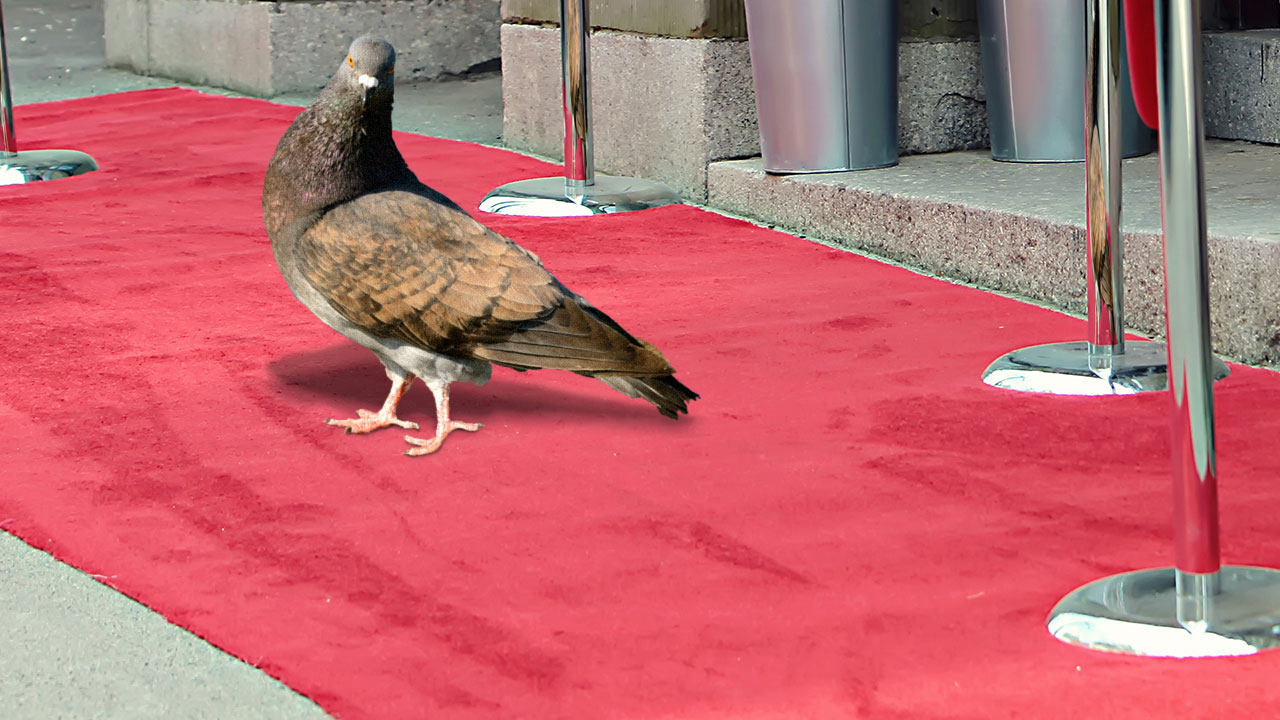 Who Is She? Meme Template