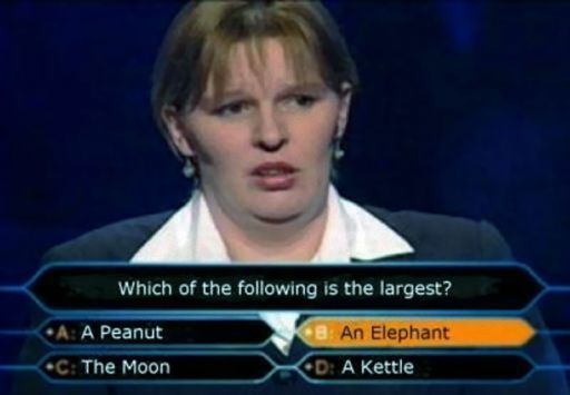 Who Wants to Be a Millionaire?