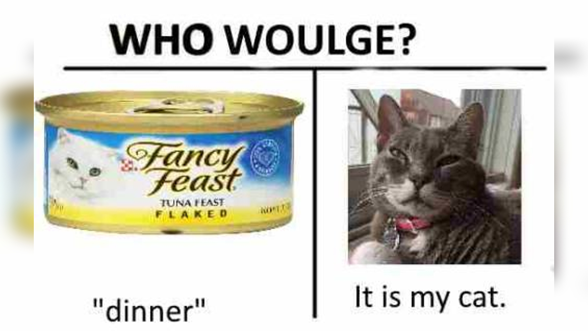 Who Woulge? Meme Template