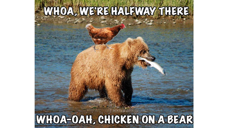 Whoa, We’re Halfway There