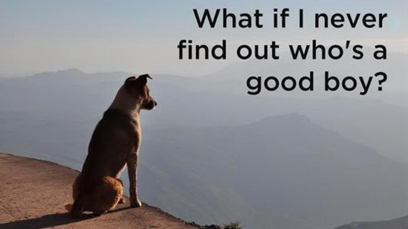 Who's A Good Boy? Meme Template