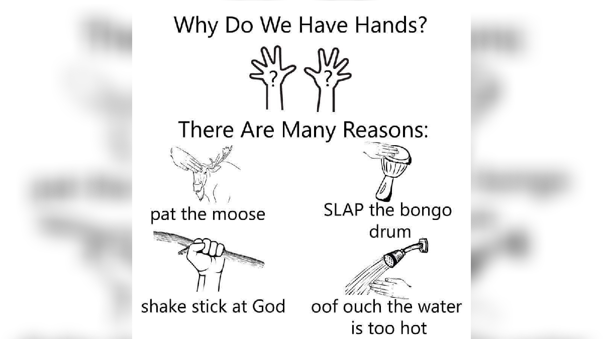 Why Do We Have Hands? There Are Many Reasons