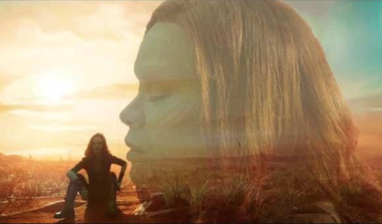 Why Is Gamora? Meme Template