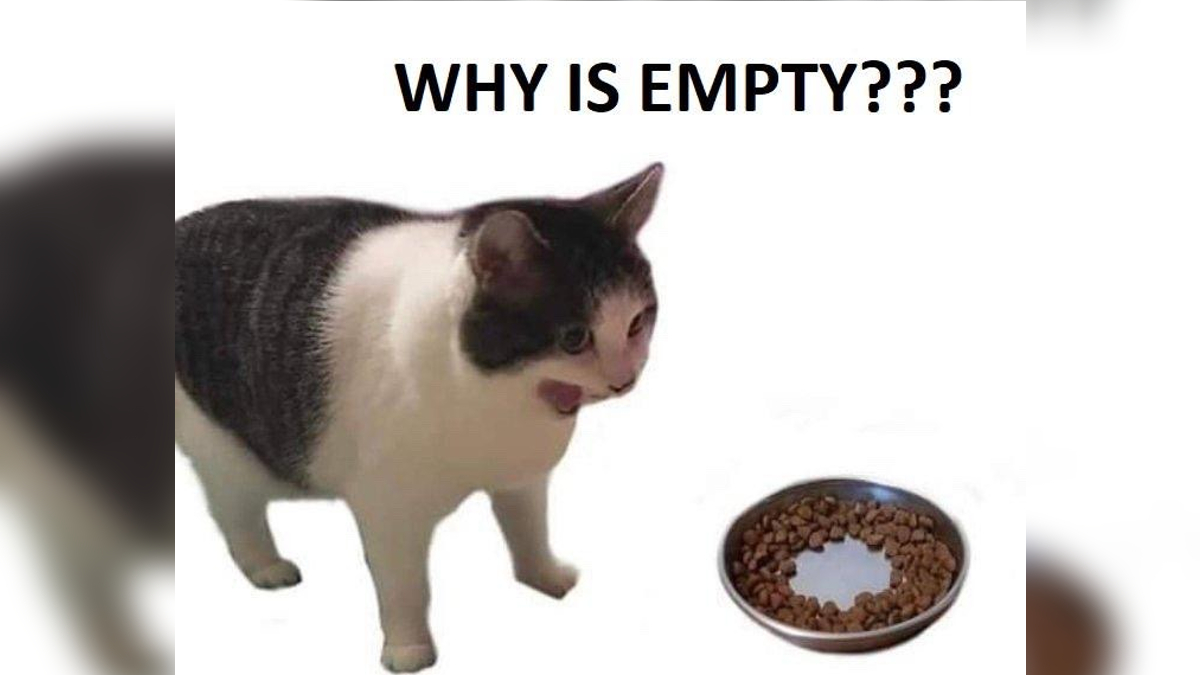 Why Is It Empty? Meme Template
