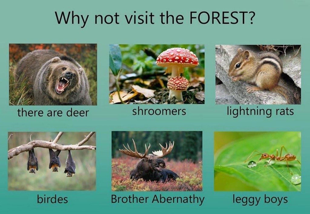 "Why Not Visit?" Edits Meme Template