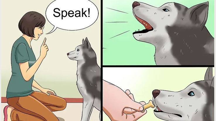 WikiHow Dog Training