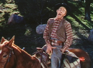 Wilhelm Scream Meme Template