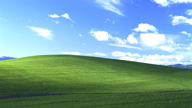 Windows XP Bliss Wallpaper