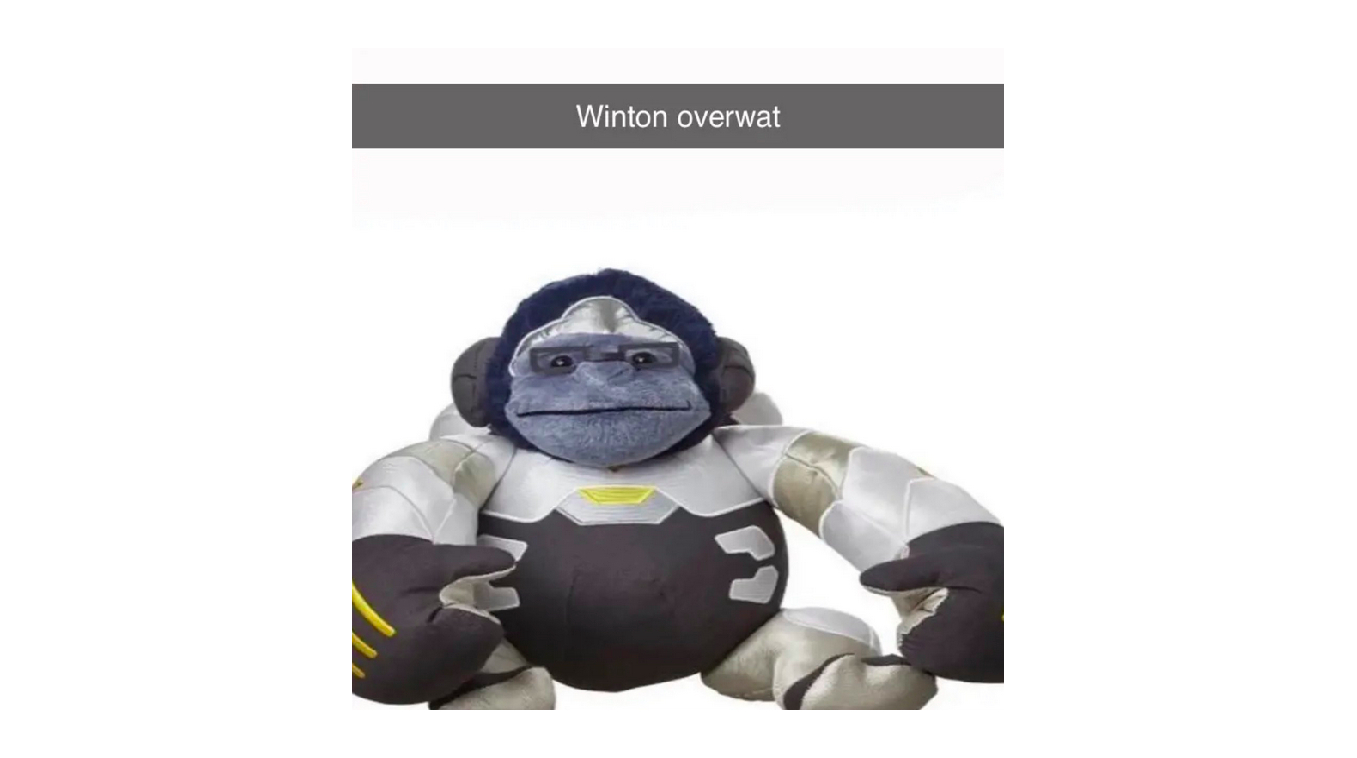 Winton Overwat (Overwatch) Meme Template