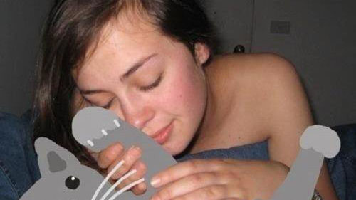 Work-Safe Porn Meme Template