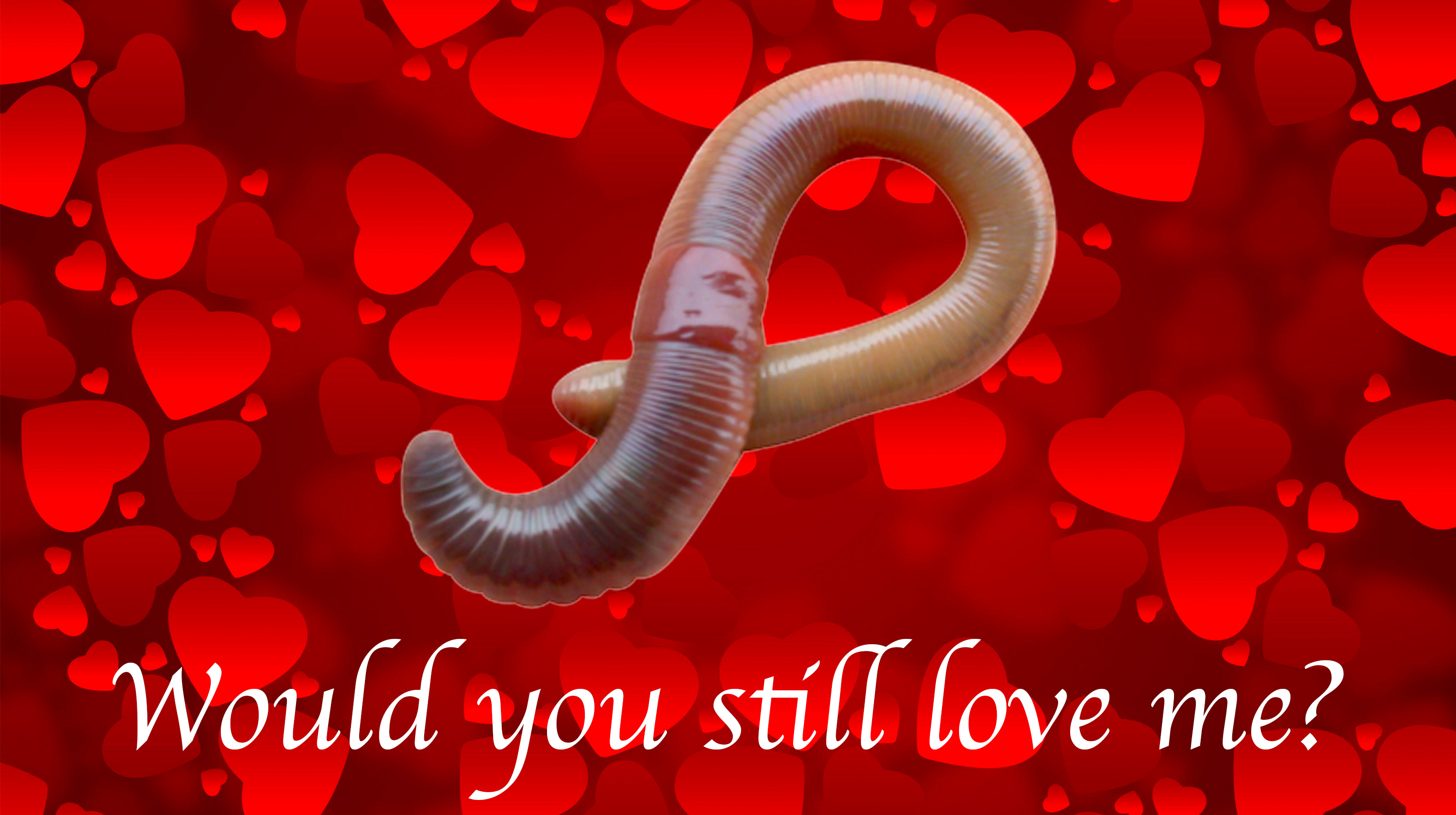 Would You Still Love Me If I Was A Worm?