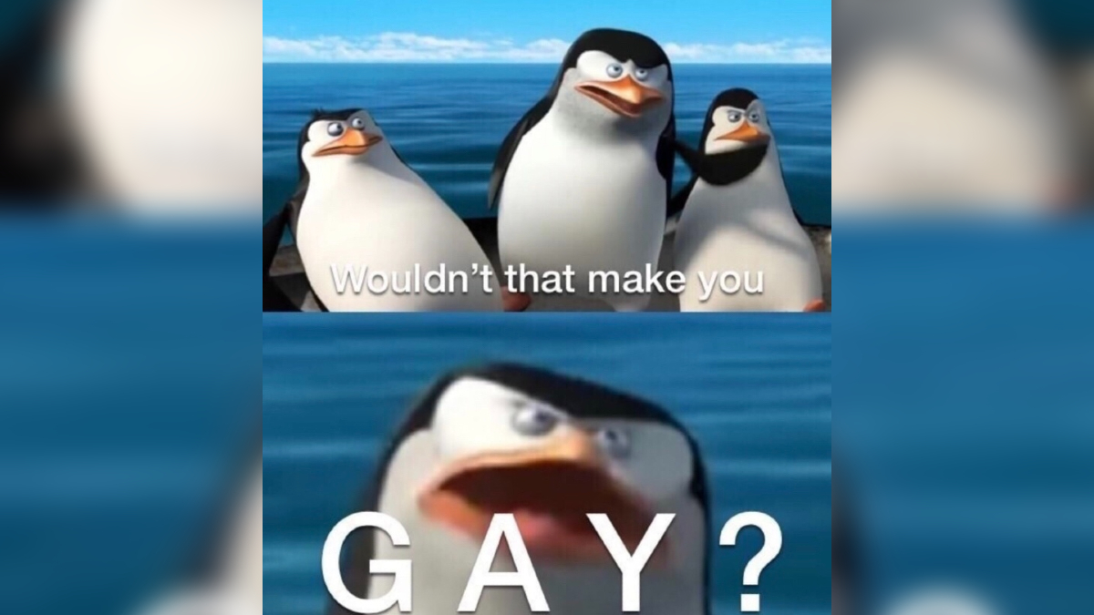 Wouldn't That Make You Gay?