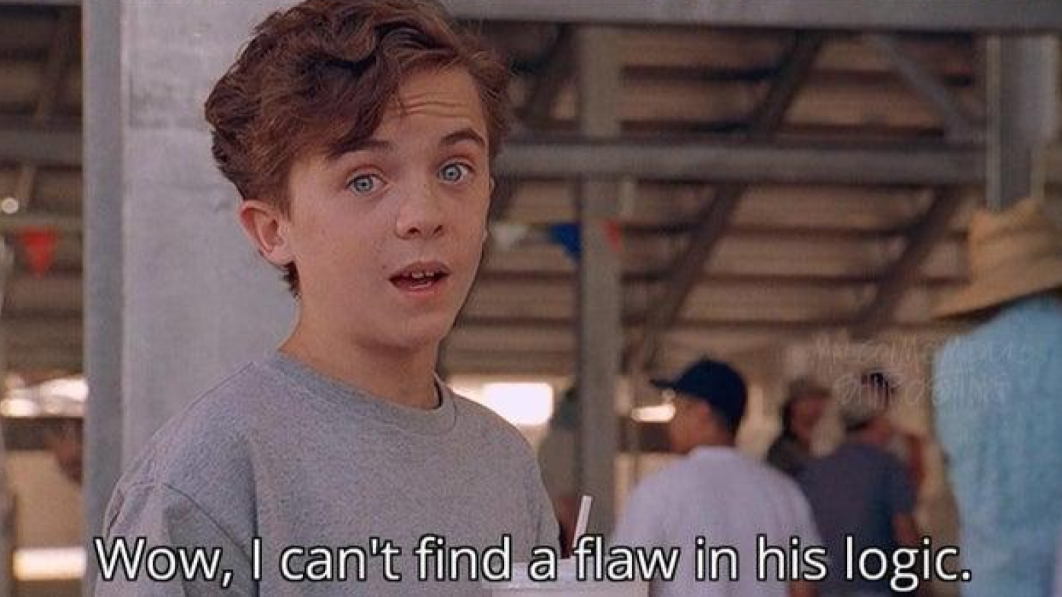 Wow, I Can't Find a Flaw In His Logic