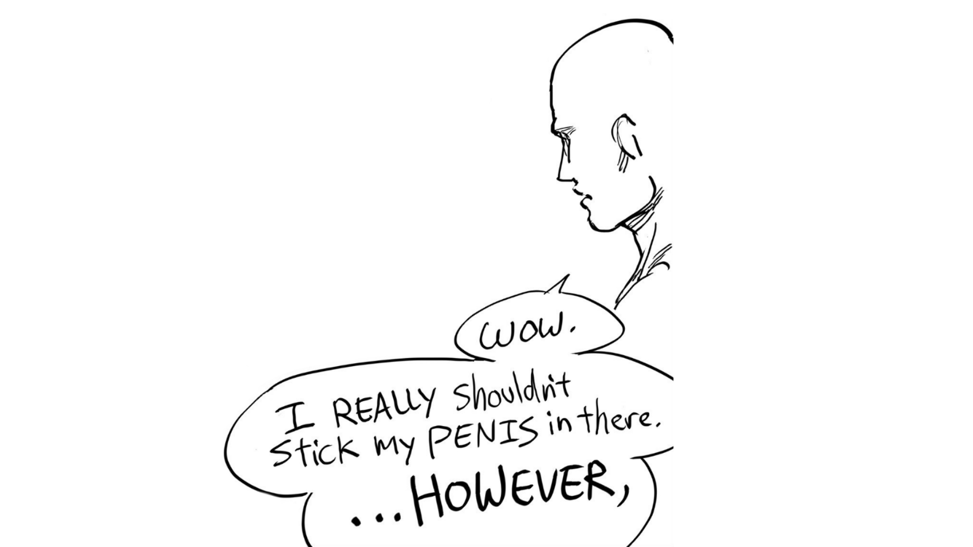 Wow. I Really Shouldn't Stick My Penis in There. However