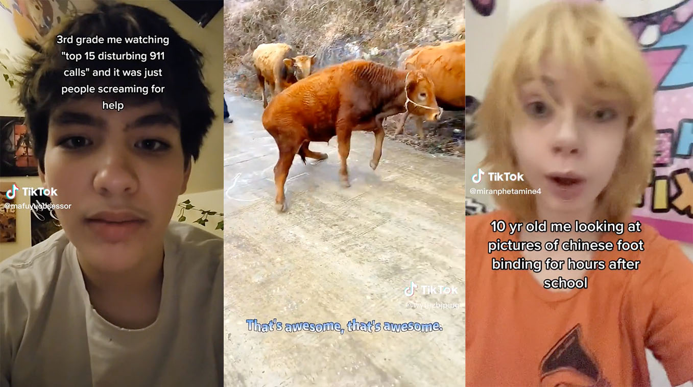 Wow, That's Awesome! (TikTok Sound Effect)