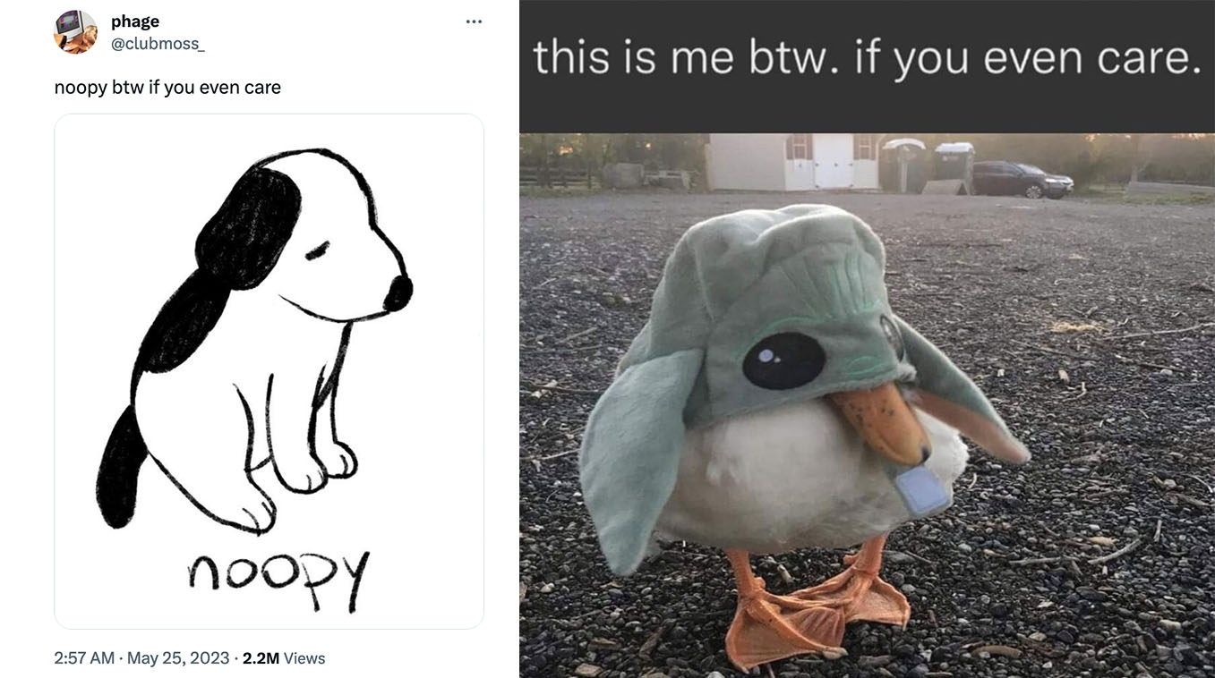 X BTW If You Even Care Meme Template