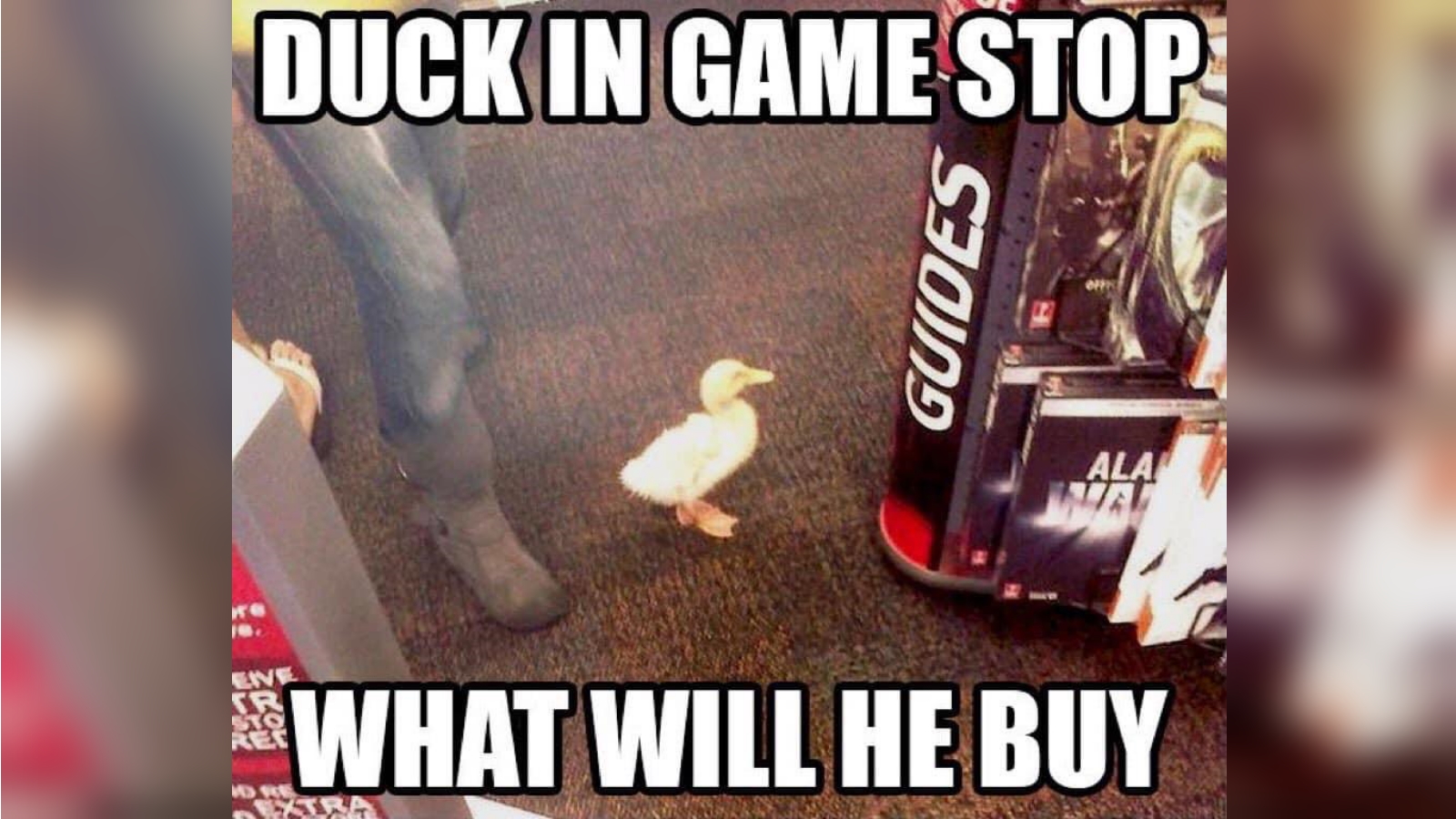 X in the Y, What Will He Do?