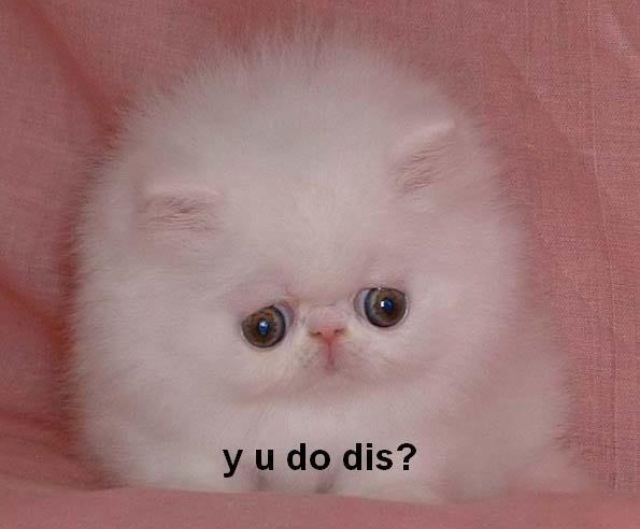 Y U Do Dis? Meme Template