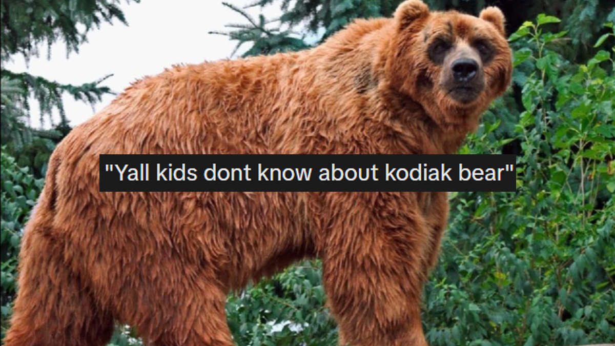 Y'all Don't Know About the Kodiak Bear