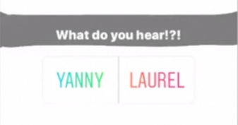 Yanny or Laurel Meme Template