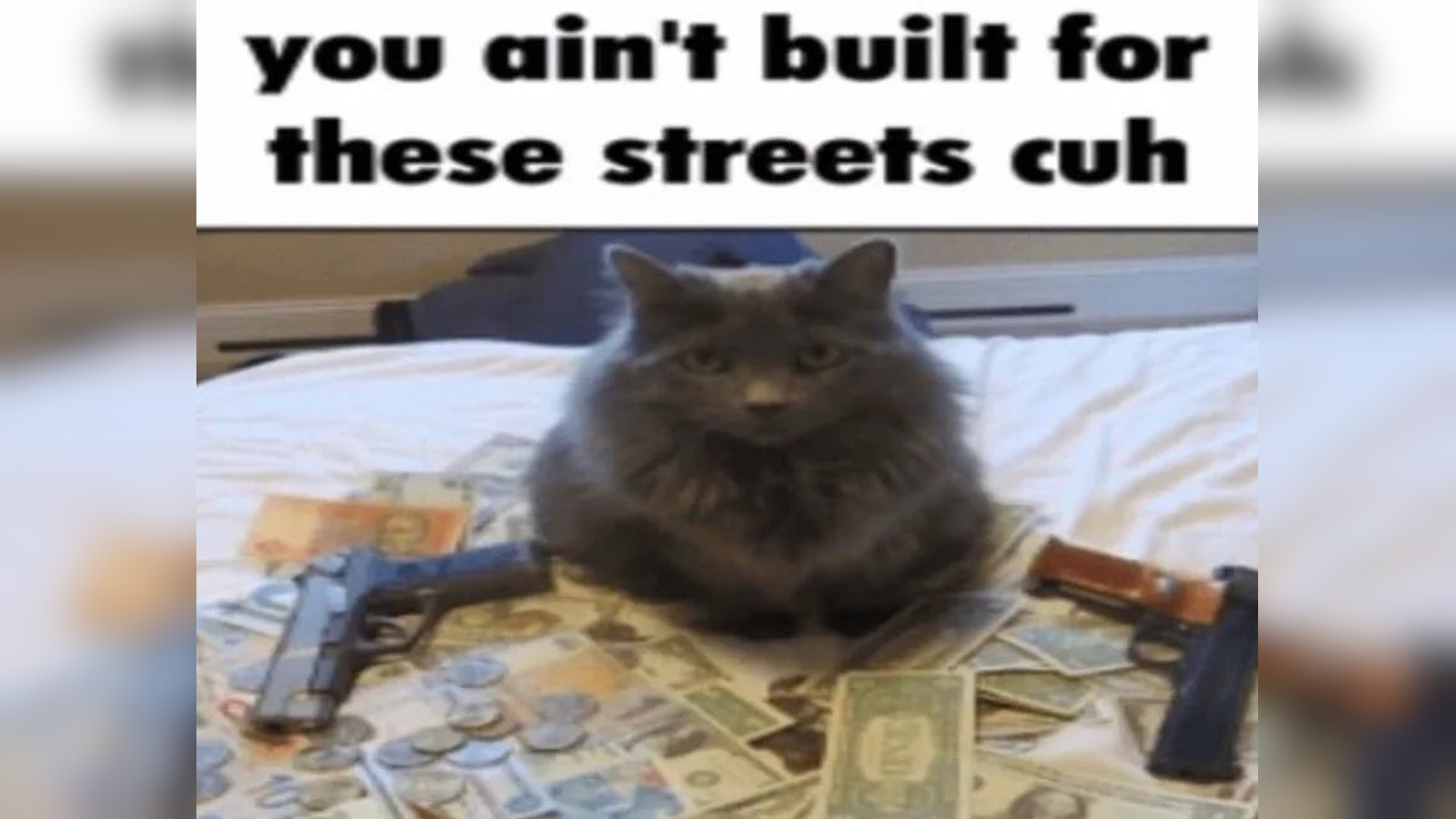You Ain't Built for These Streets Cuh Meme Template