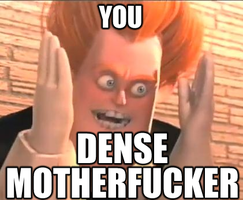 You Dense Motherfucker Meme Template