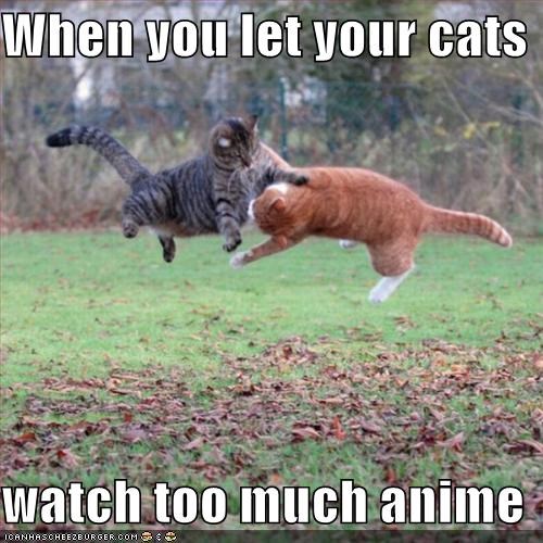 You Know You Play Too Much When Meme Template