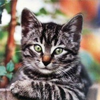 You Must Be New Here Meme Template