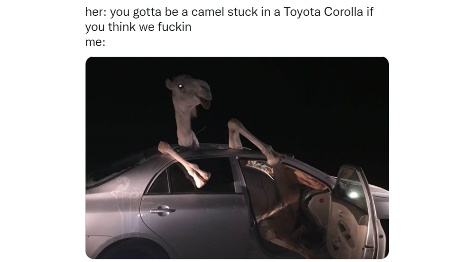 You Must Be X If You Think We Fuckin