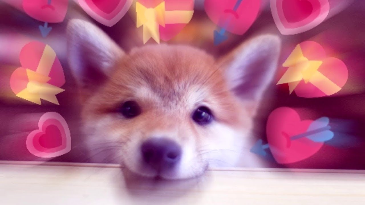 You So Precious When You Smile Meme Template