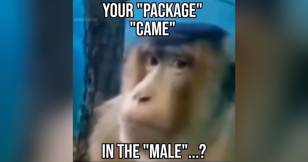 Your "Package" "Came" In the "Male" Meme Template