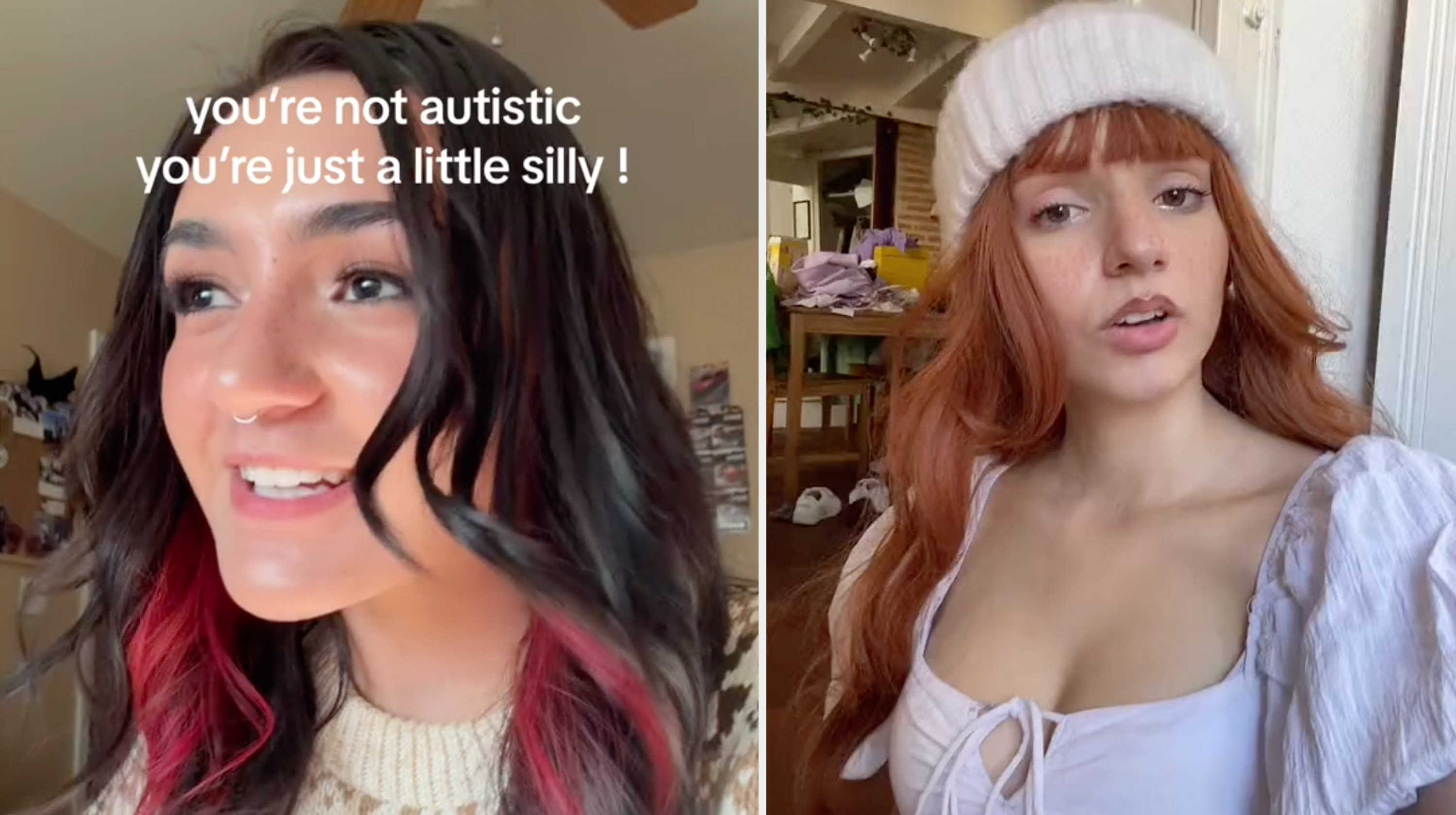 You're Not Autistic, You're Just a Little Silly Meme Template