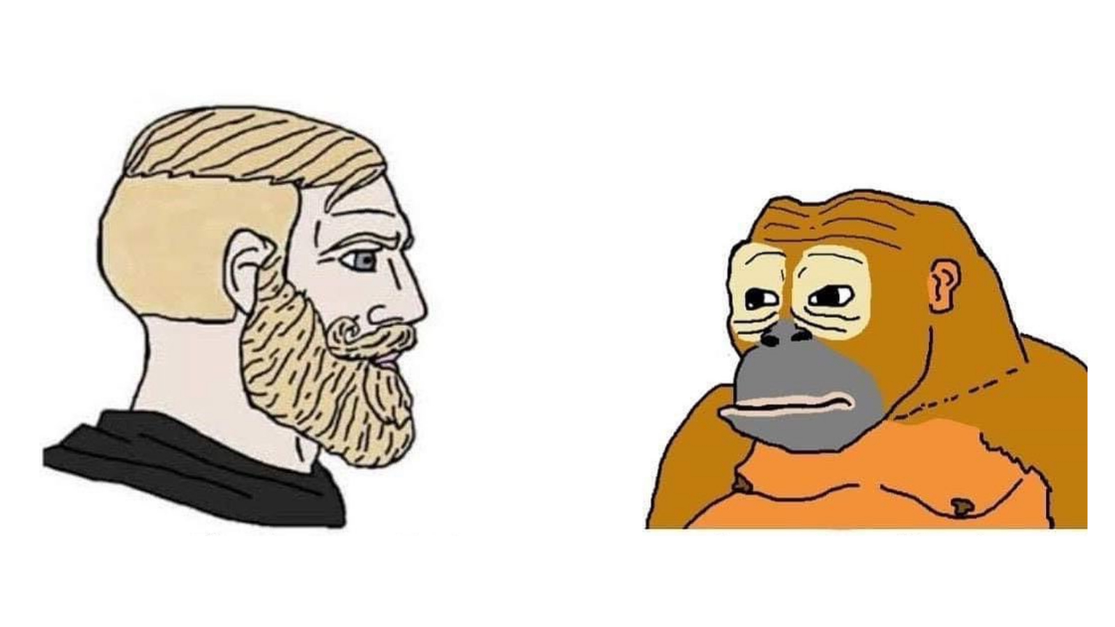 You're Such a Dumb Animal / Chad vs. Monkey Meme Template