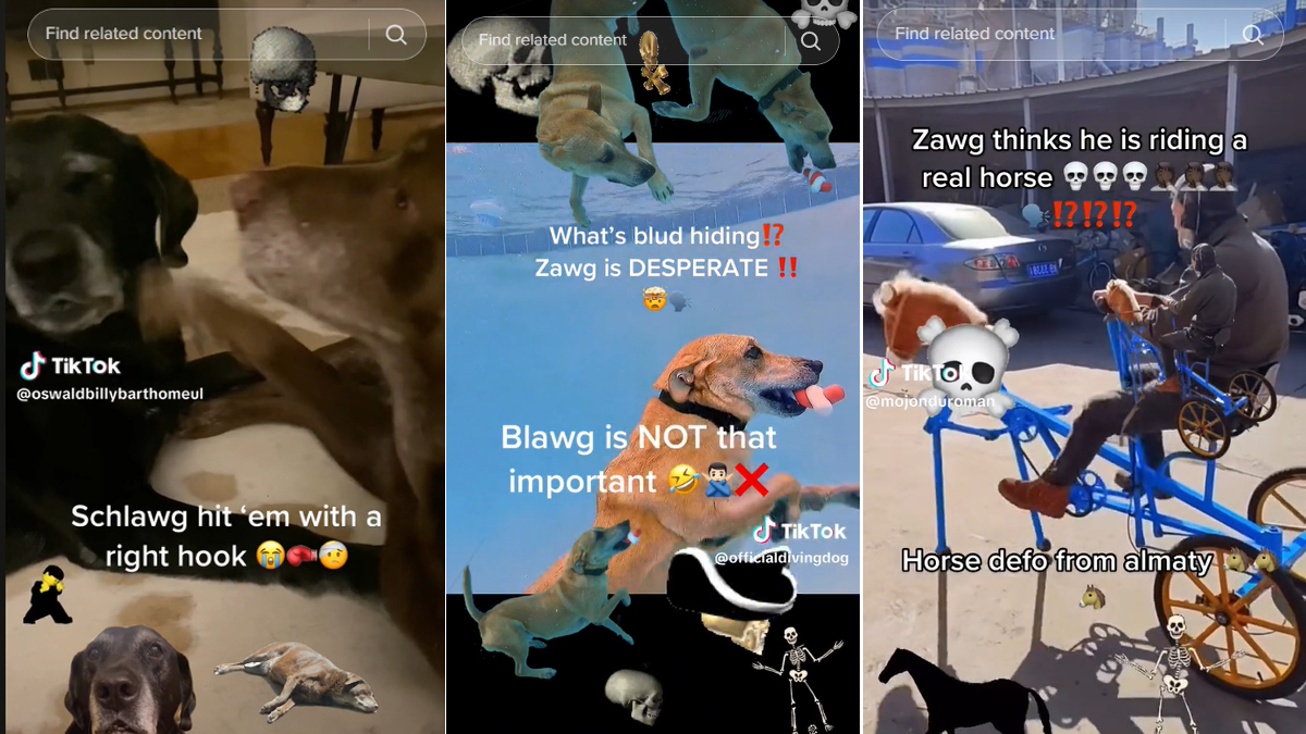 Zawg / Schlawg Meme Template