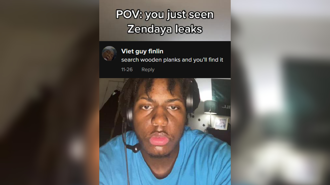 Zendaya Wooden Planks