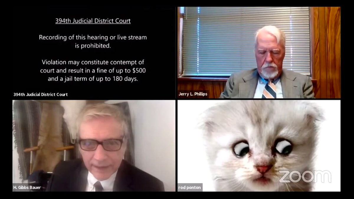 Zoom Cat Lawyer / I'm Not a Cat