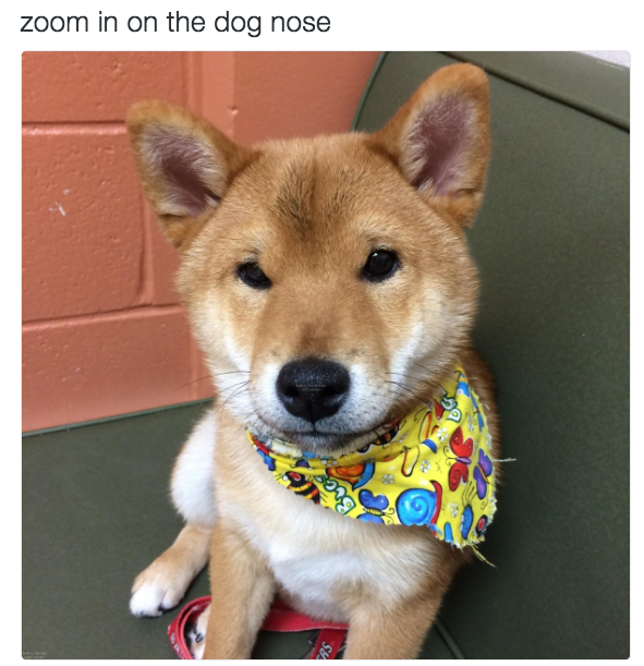 Zoom In Meme Template